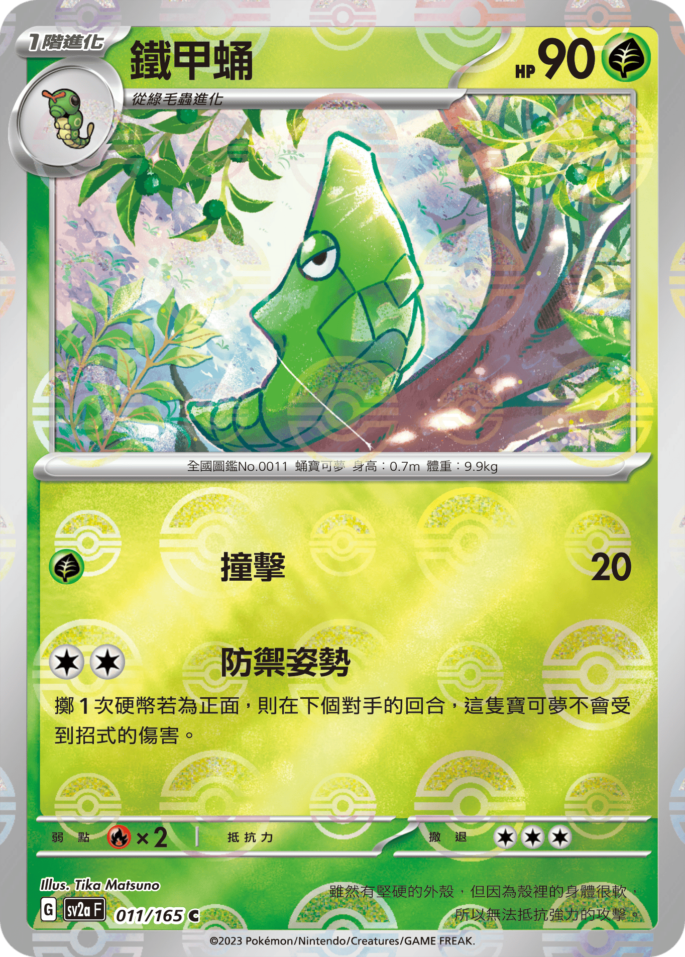 鐵甲蛹