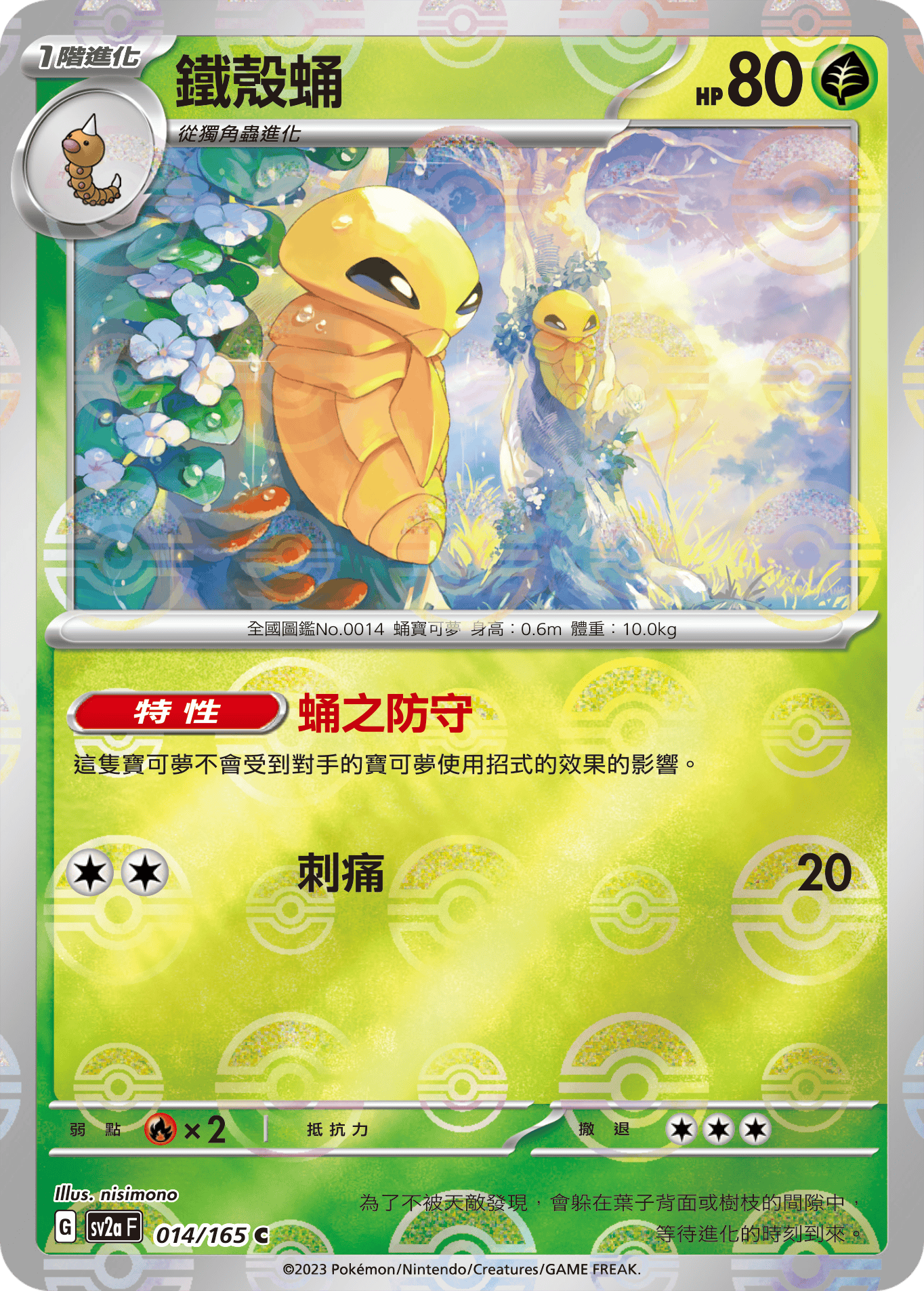 鐵殼蛹