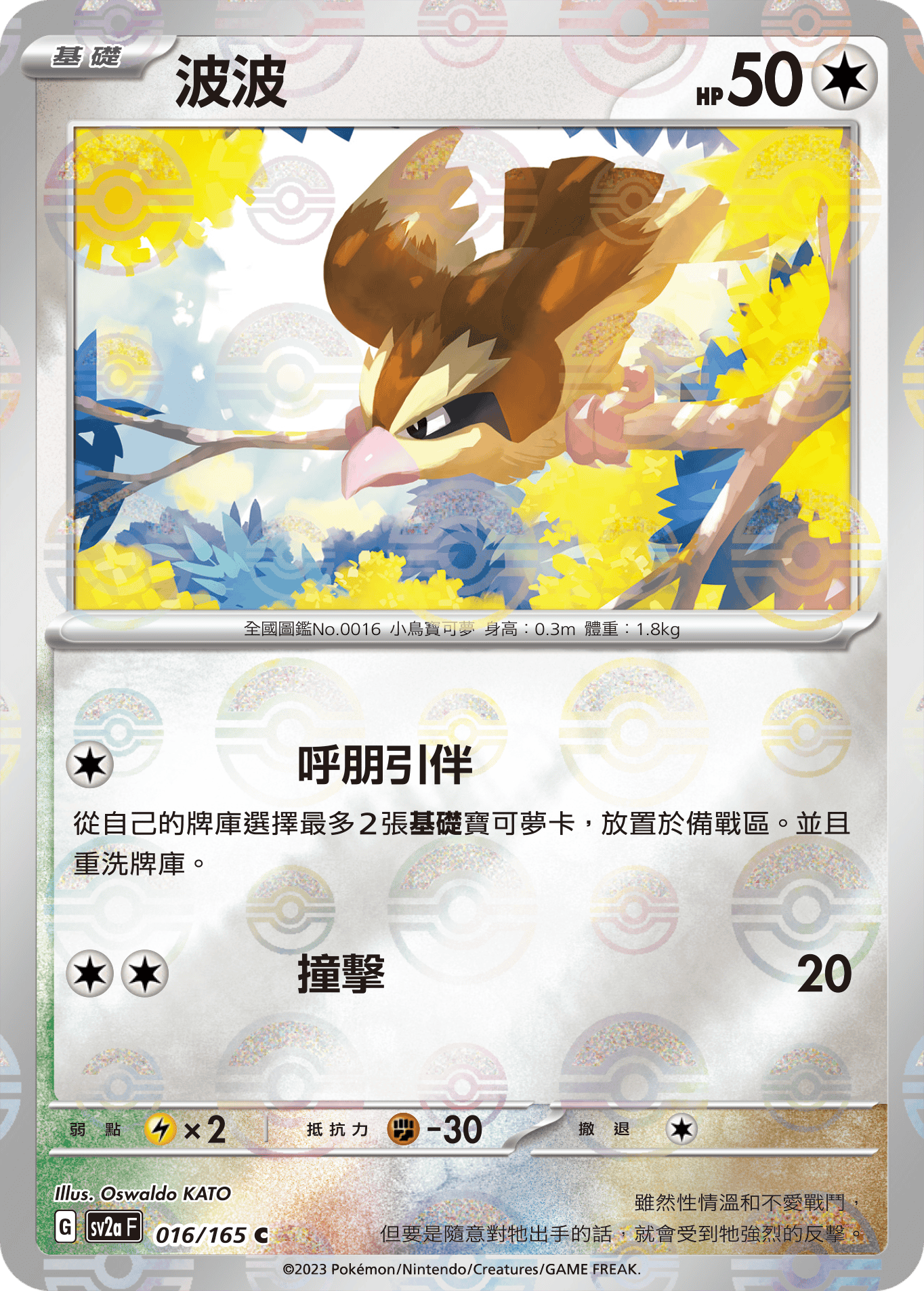 波波