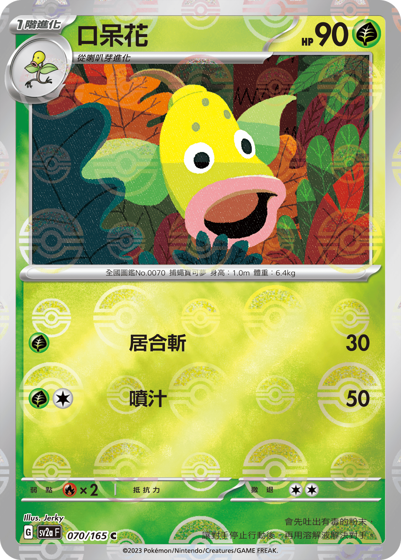 口呆花