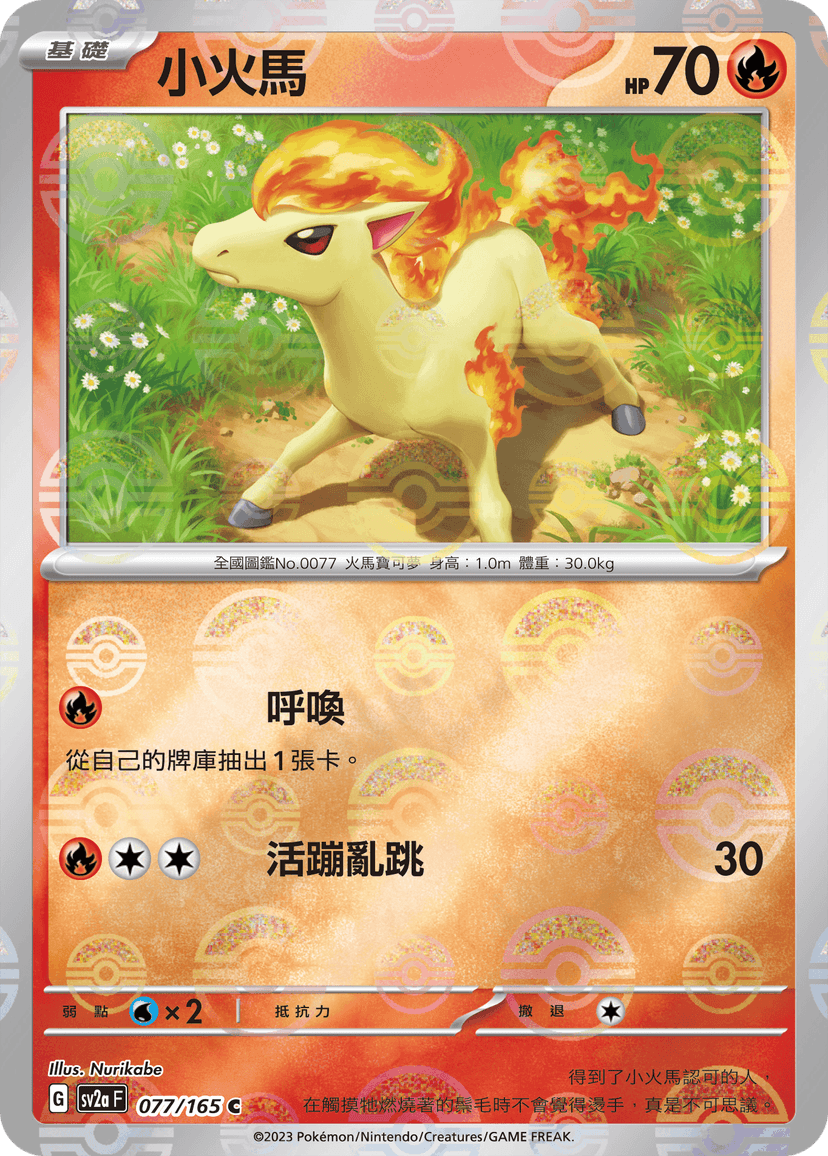 小火馬