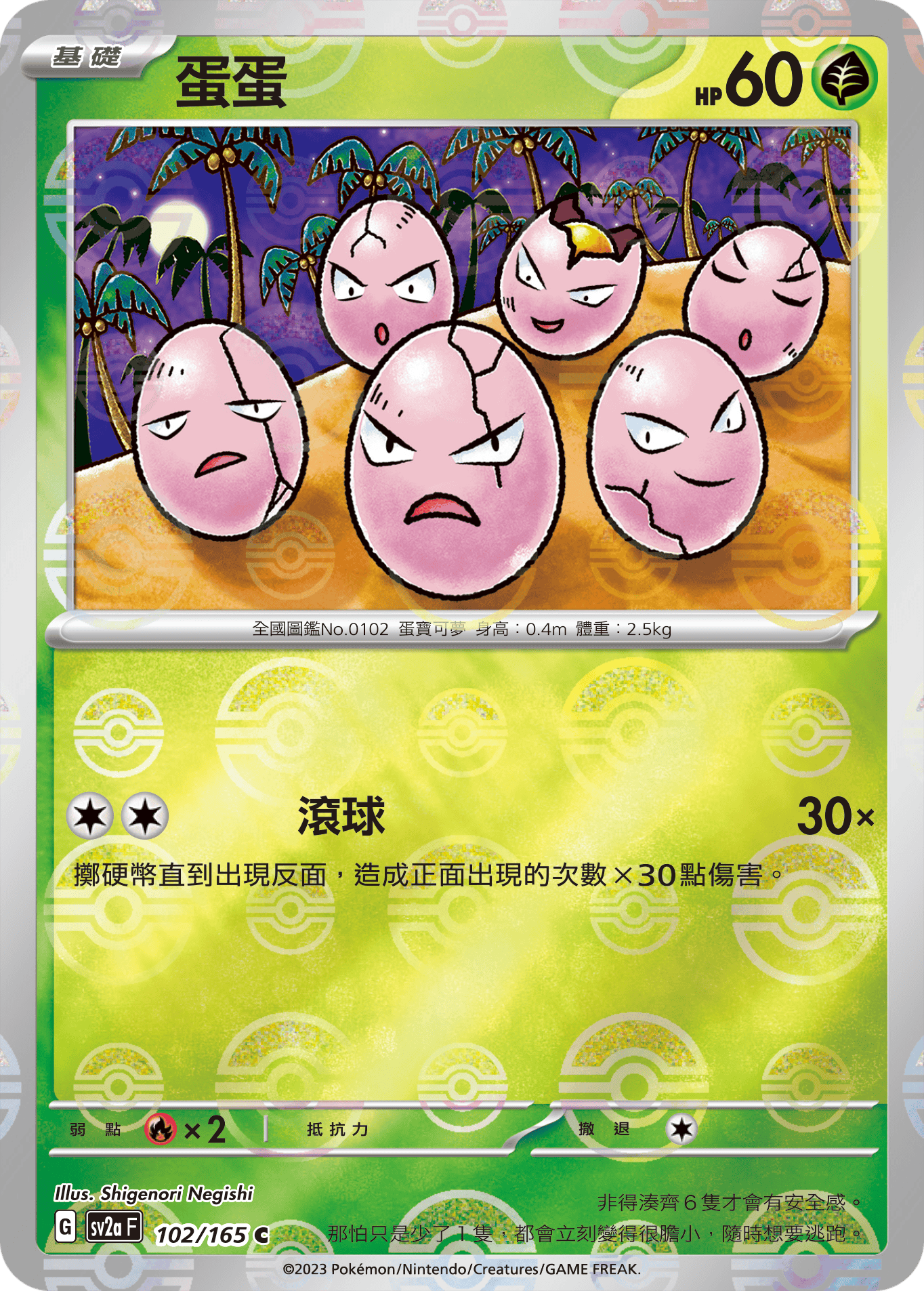 蛋蛋