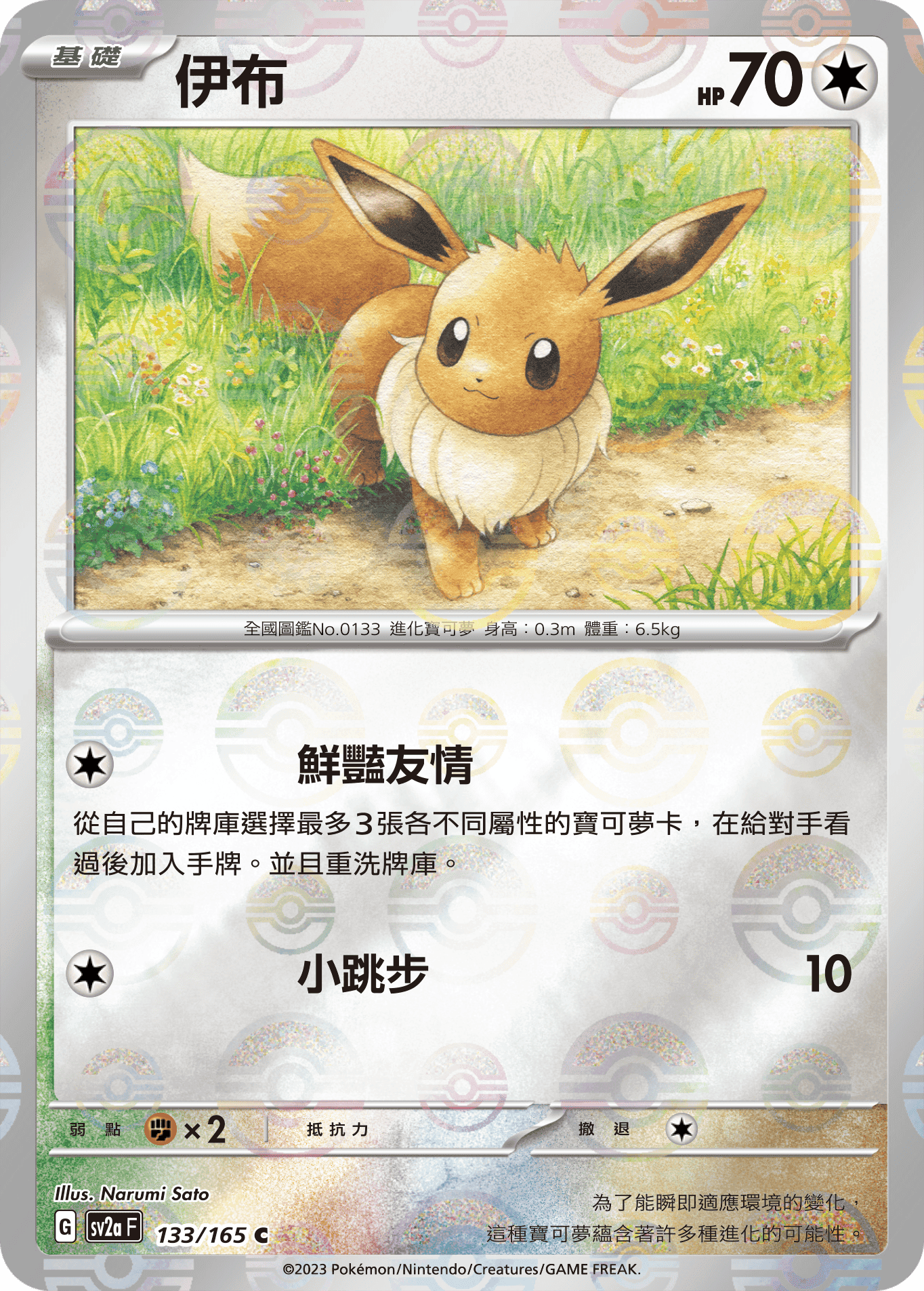 伊布