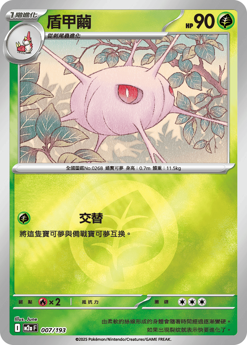 盾甲繭