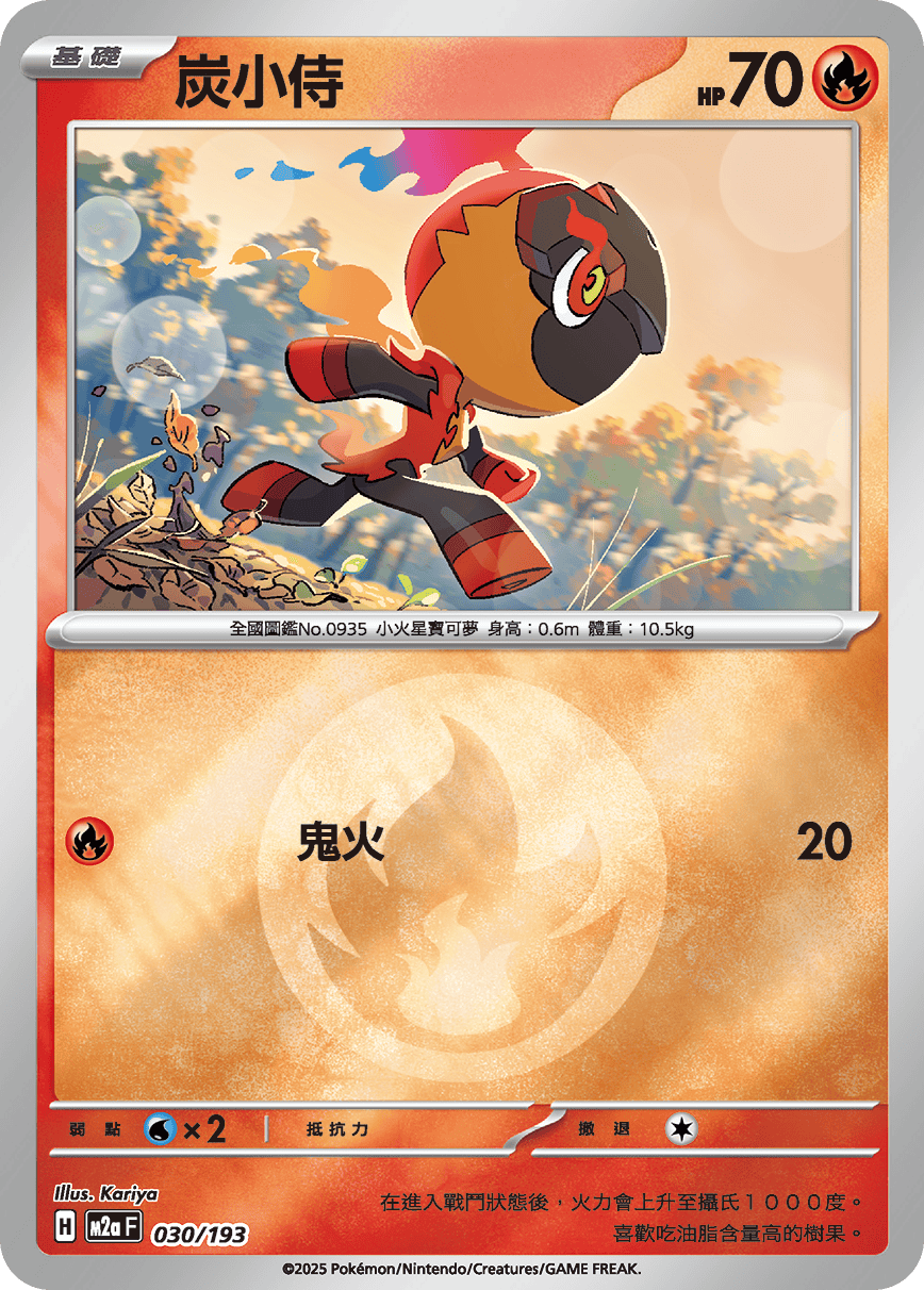 炭小侍