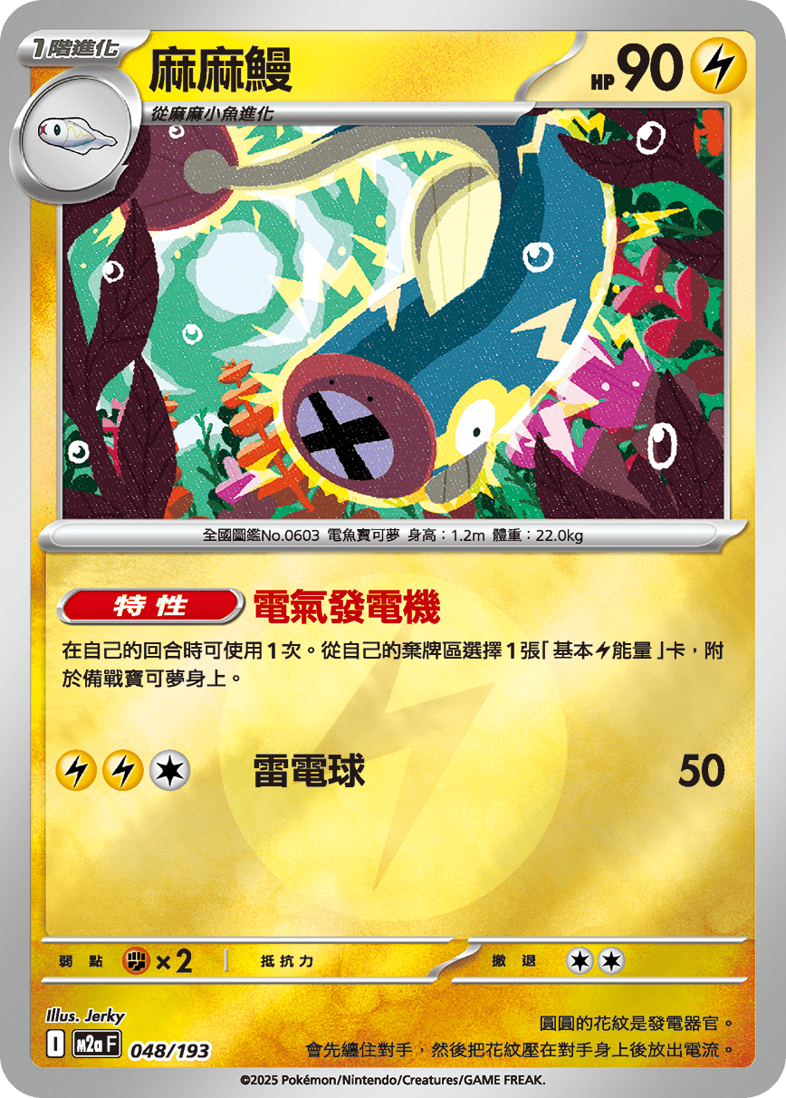 麻麻鰻