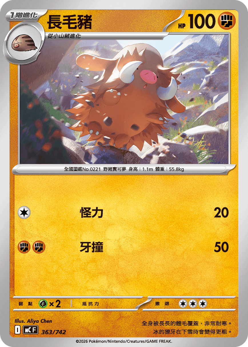 長毛豬