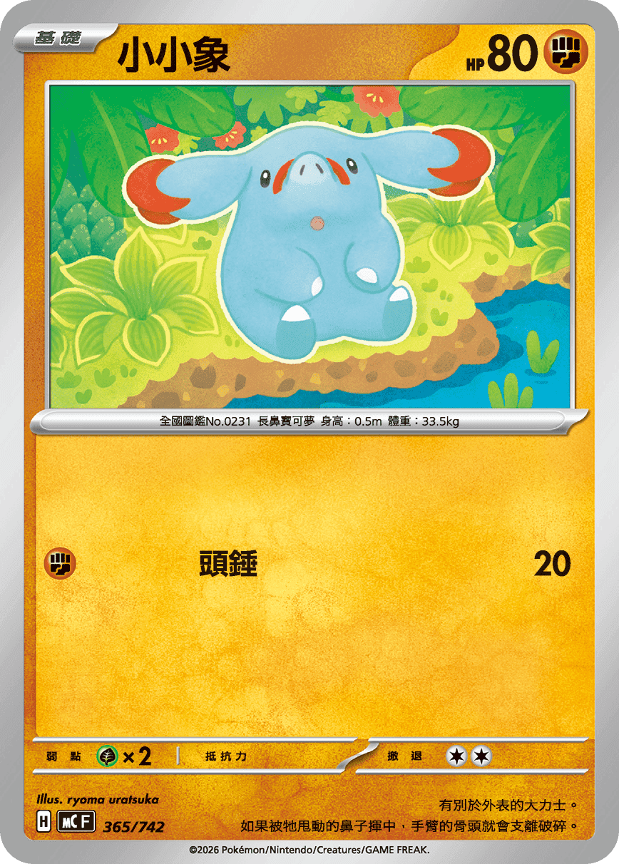 小小象