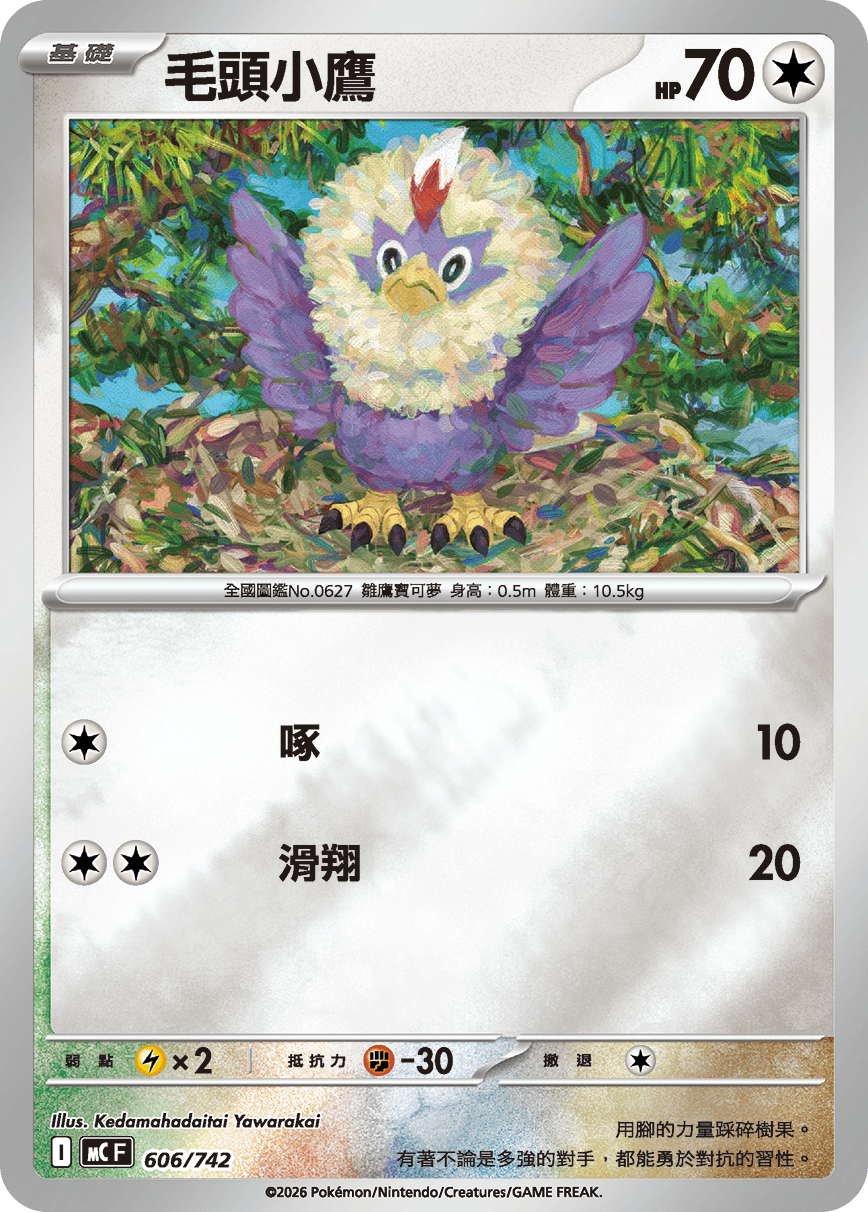 毛頭小鷹