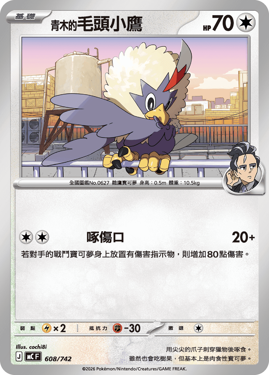 <青木的>毛頭小鷹