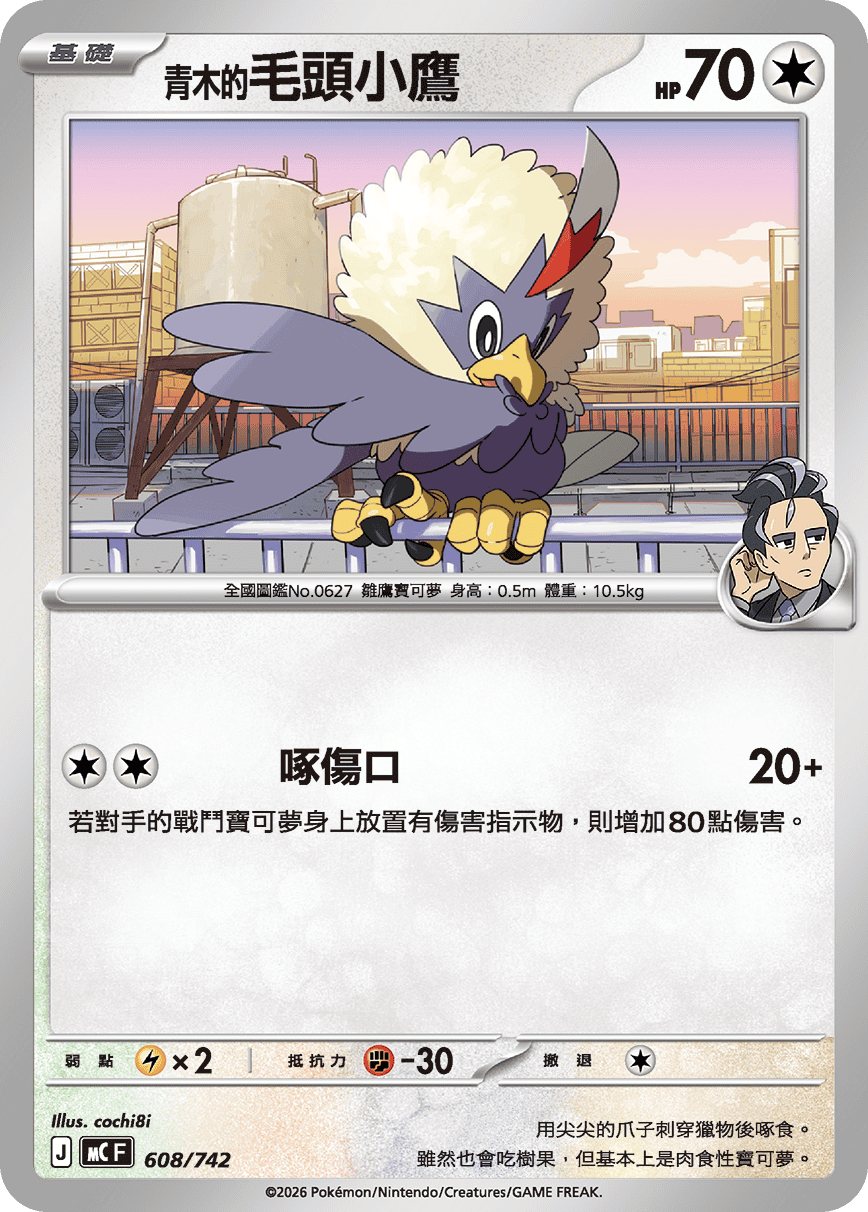 <青木的>毛頭小鷹