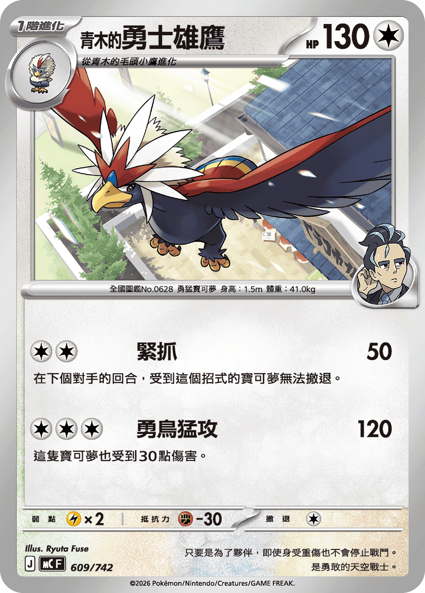 <青木的>勇士雄鷹