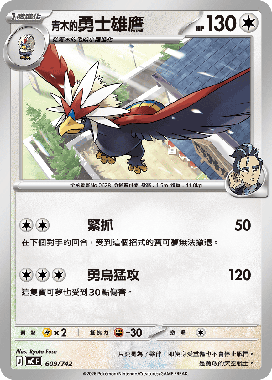 <青木的>勇士雄鷹