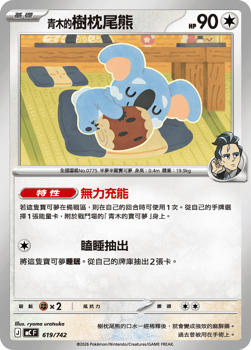 <青木的>樹枕尾熊