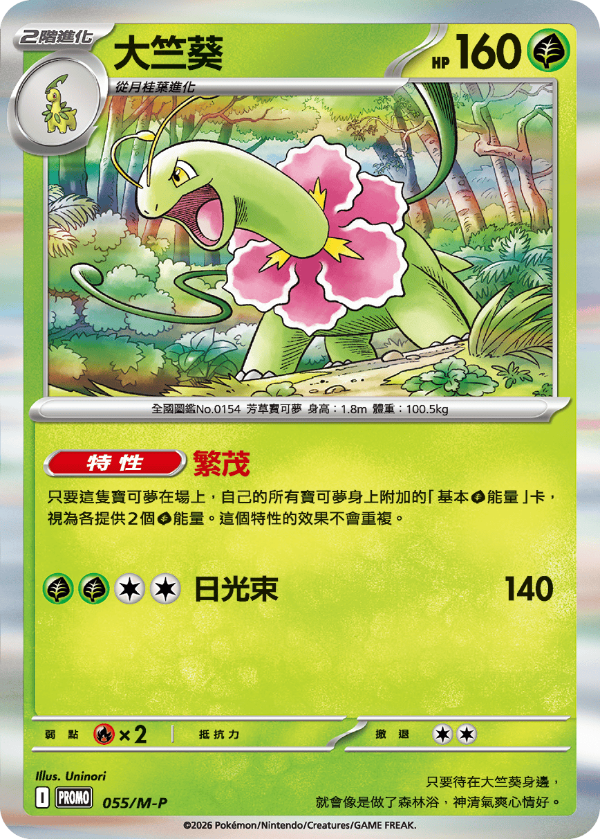 大竺葵