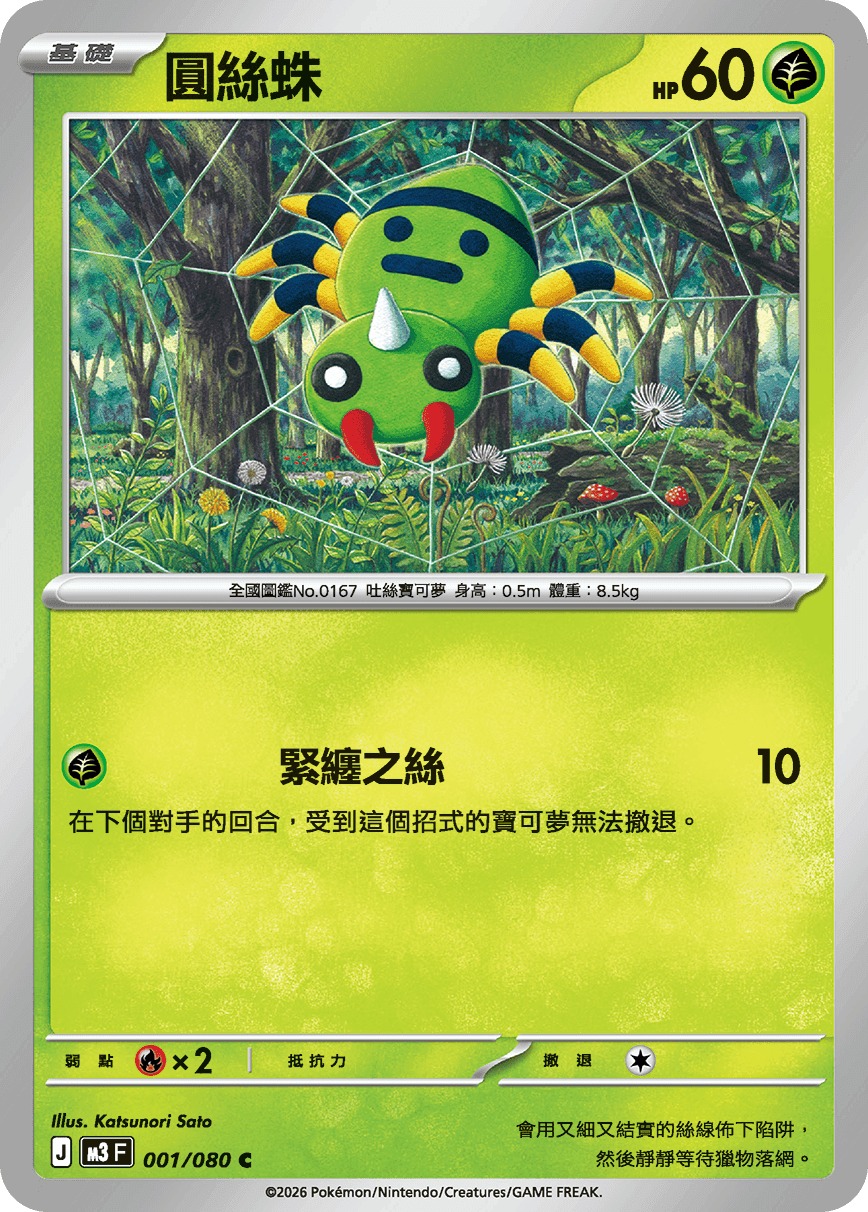 圓絲蛛
