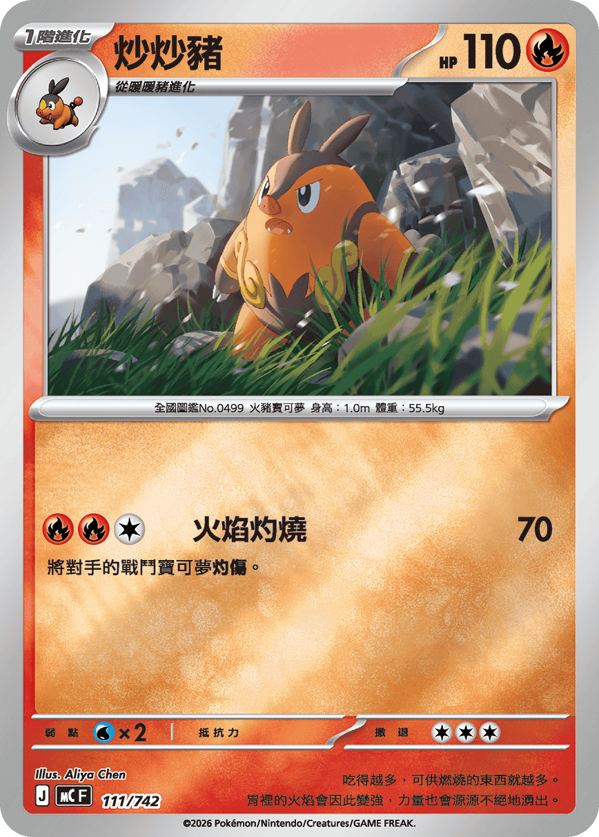 炒炒豬