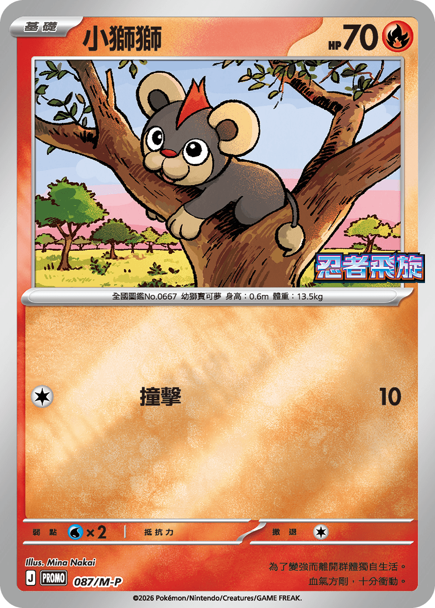 小獅獅