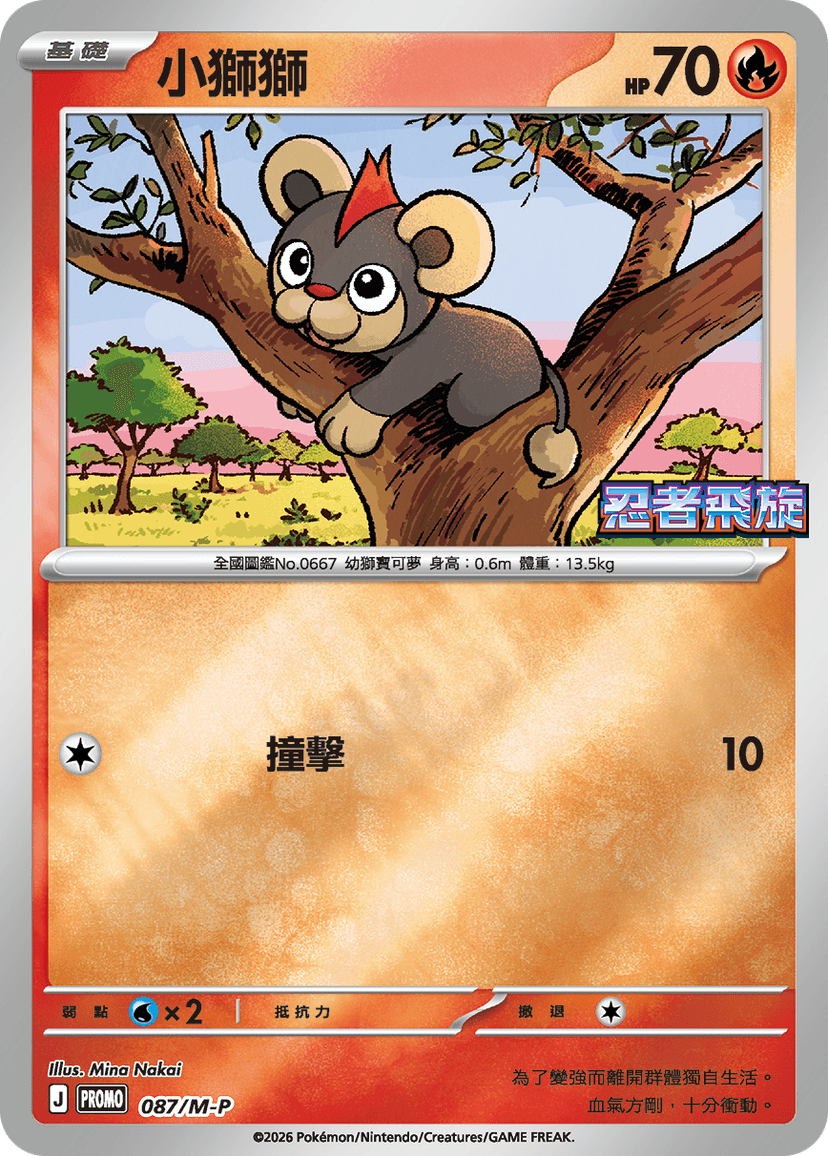 小獅獅