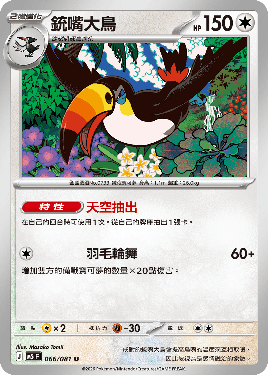 銃嘴大鳥