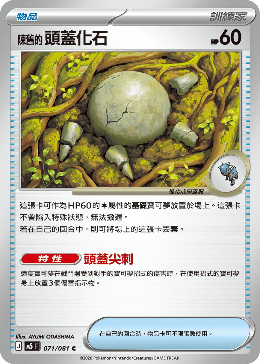陳舊的頭蓋化石