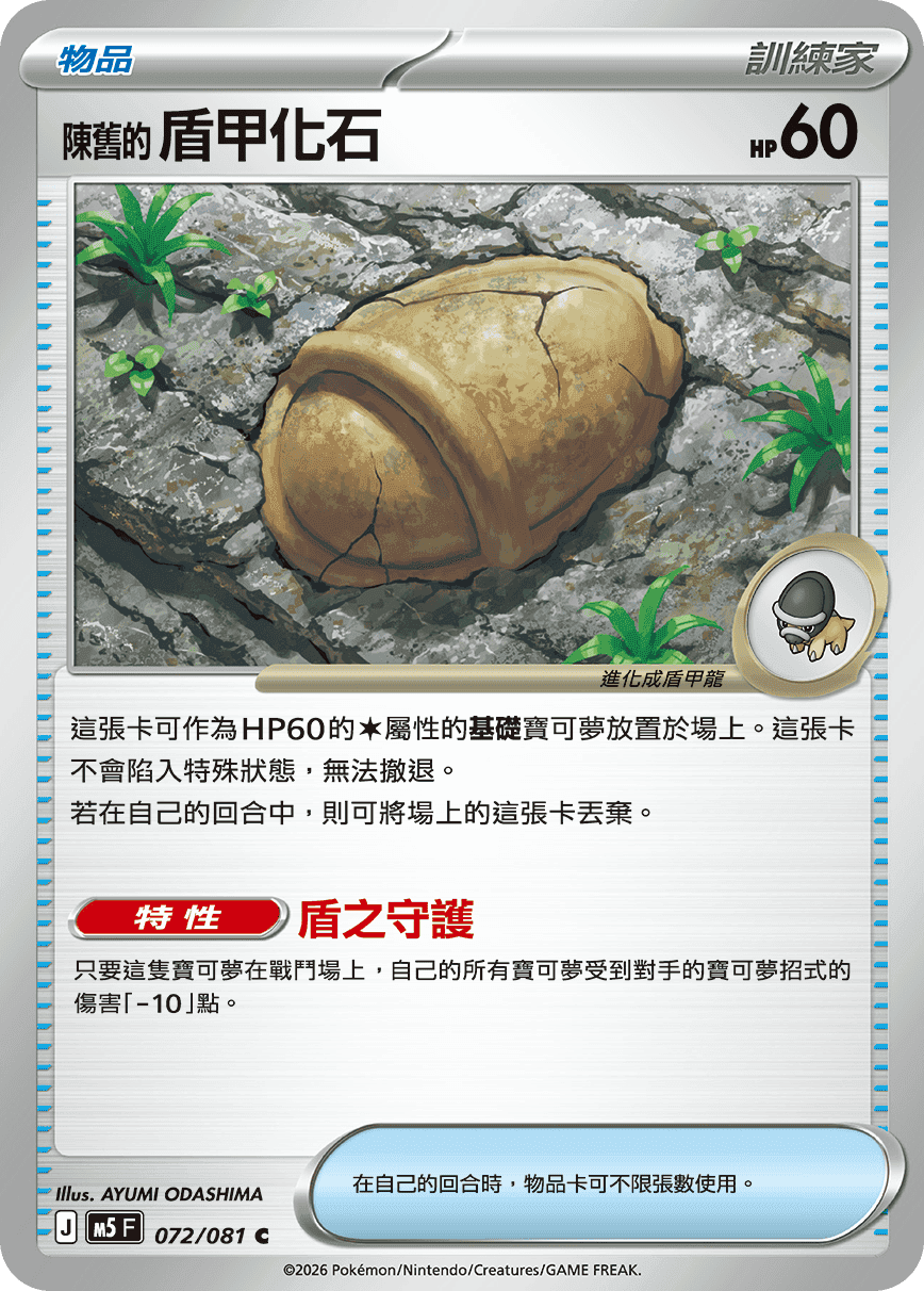 陳舊的盾甲化石