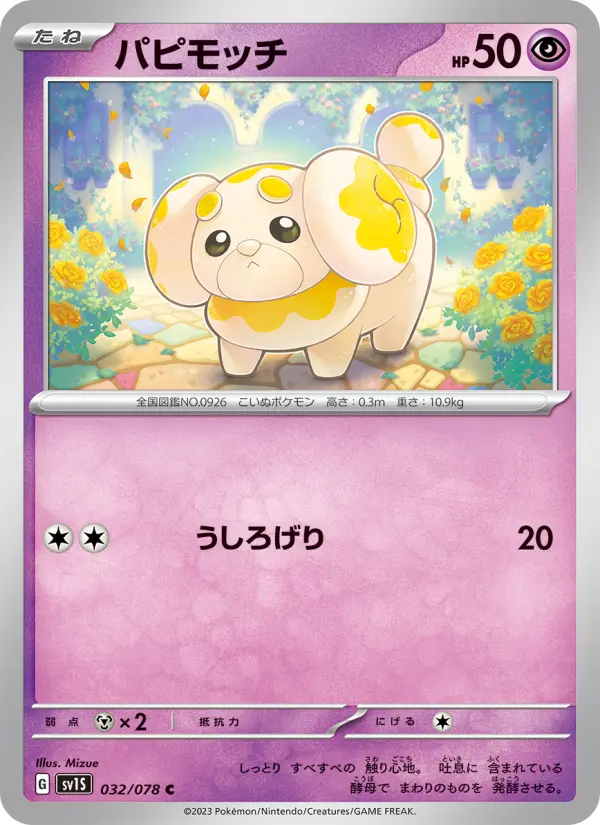 パピモッチ