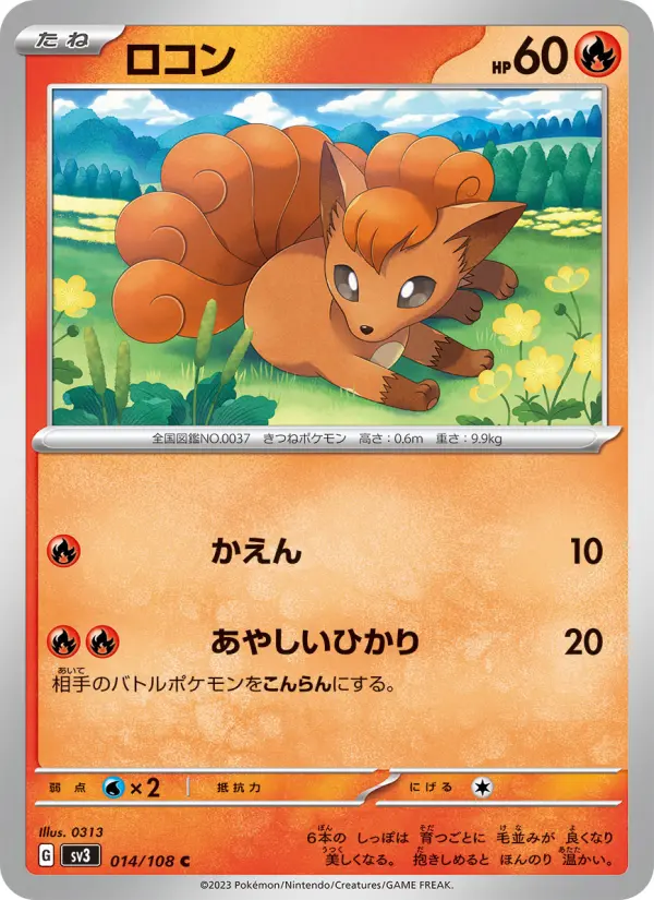ロコン
