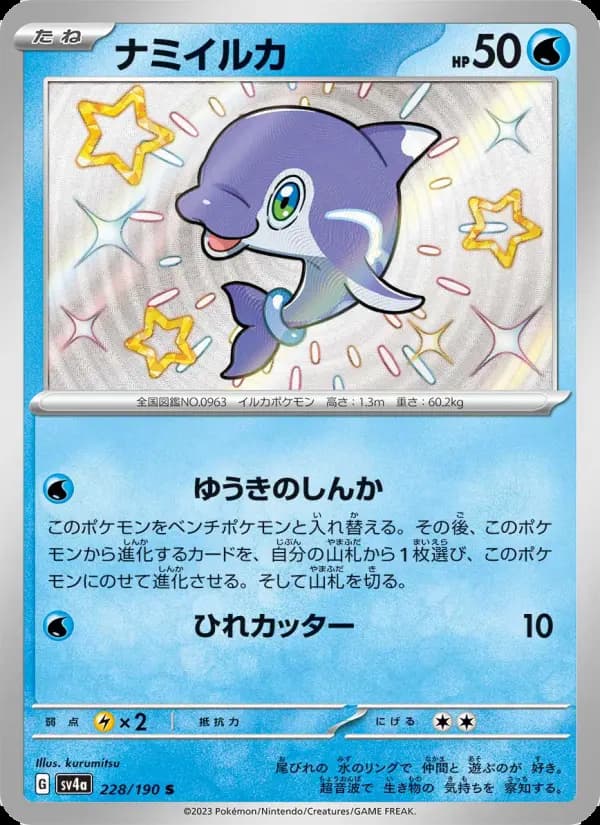 ナミイルカ
