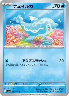 ナミイルカ