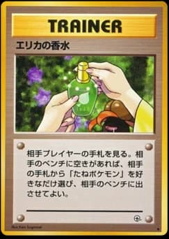 Erika's Perfume