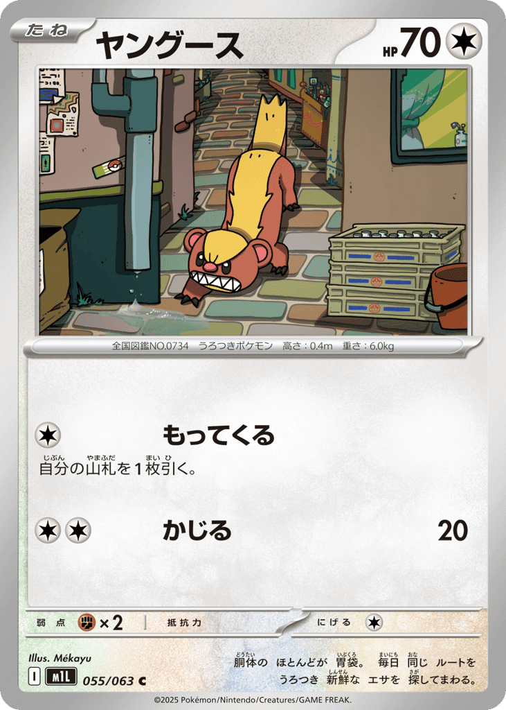 ヤングース