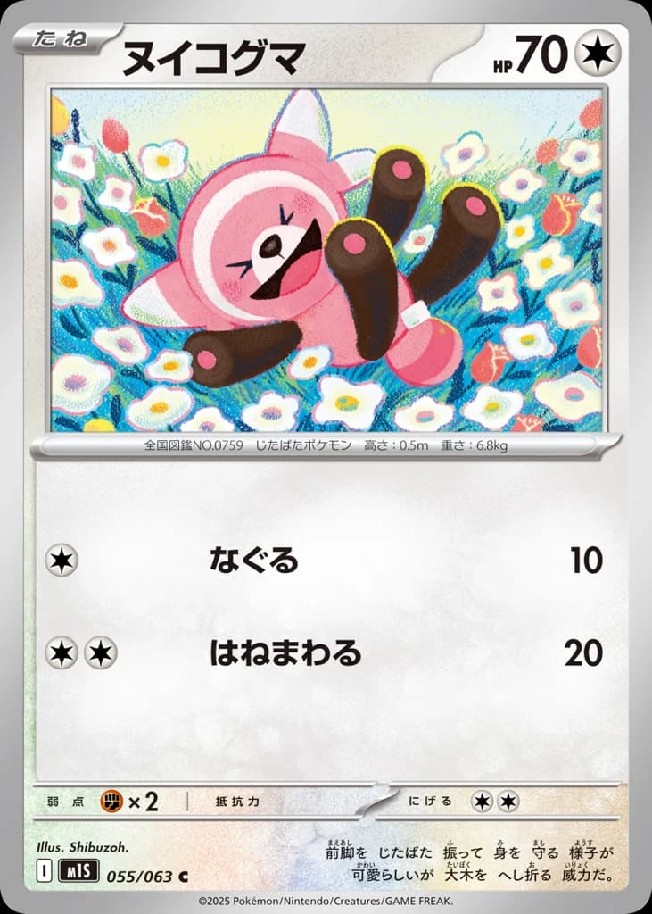 ヌイコグマ