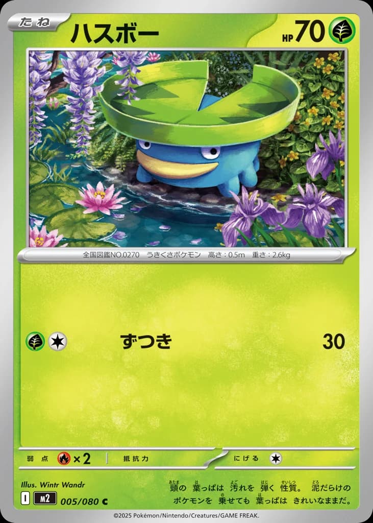 ハスボー