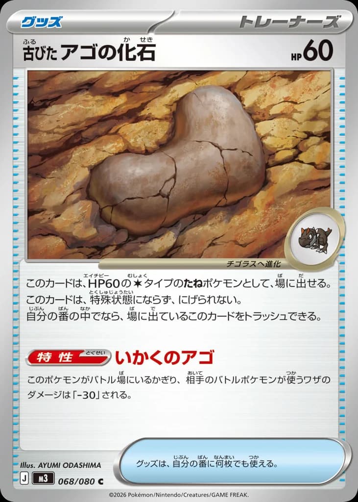 古びたアゴの化石