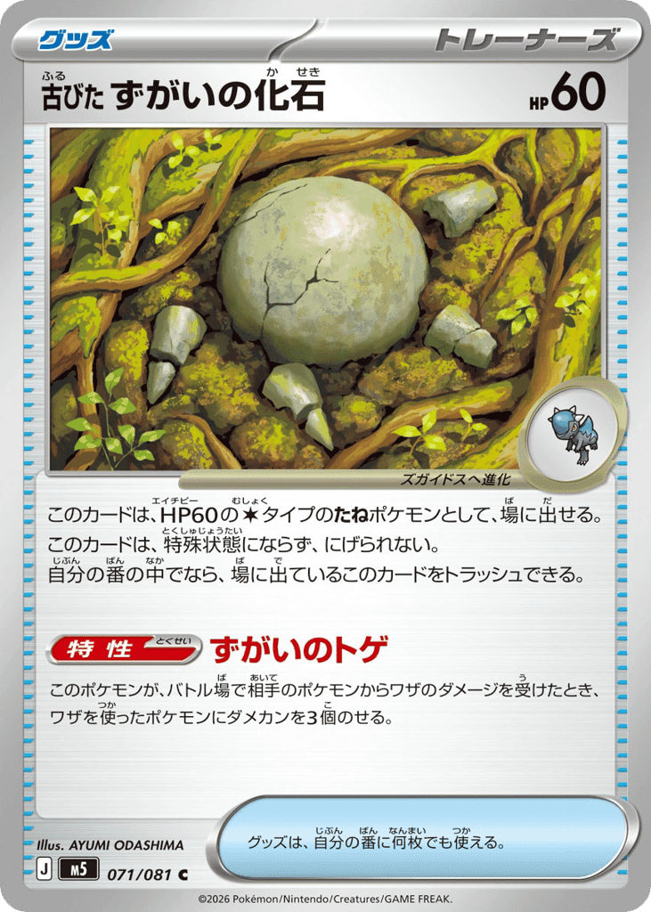 古びたずがいの化石