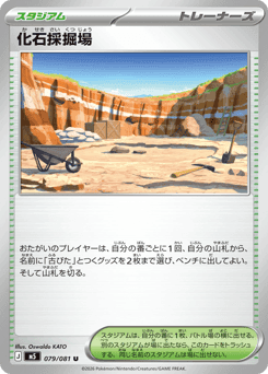 Fossil Excavation Site
