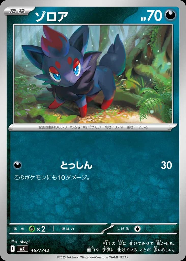 ゾロア