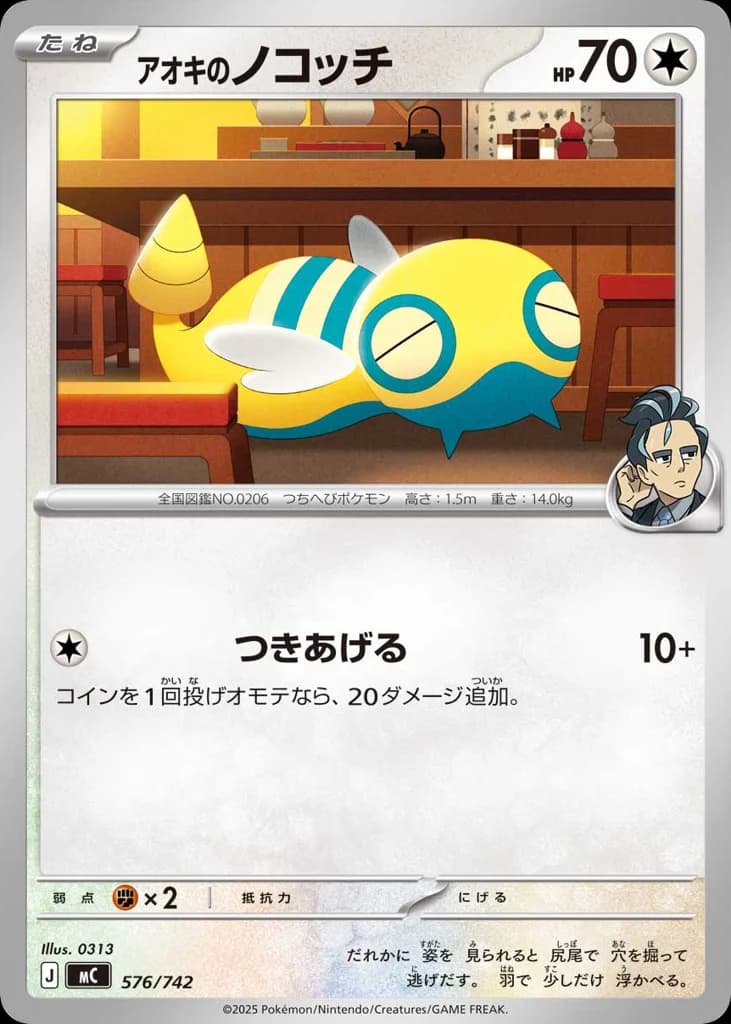 アオキのノコッチ