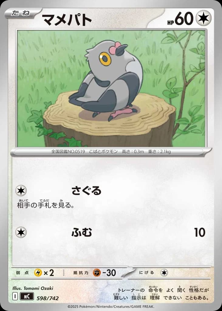 マメパト
