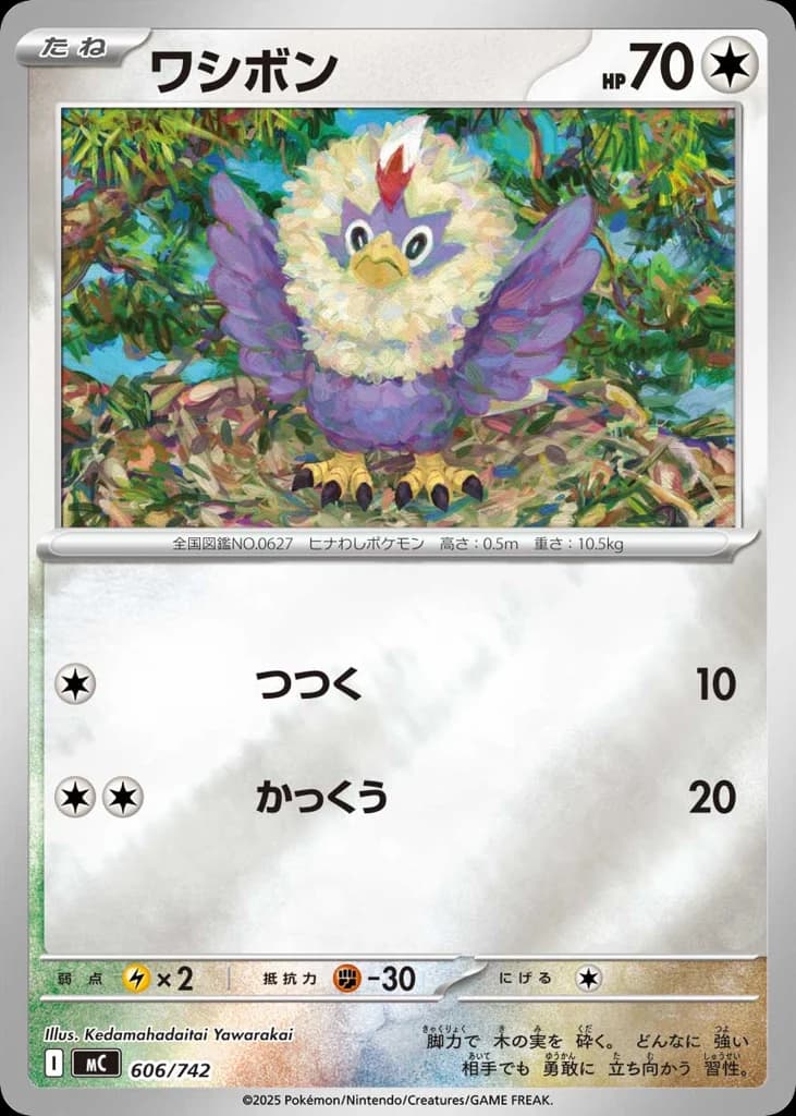 ワシボン
