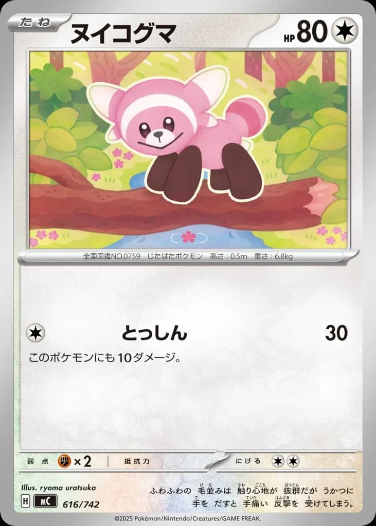 ヌイコグマ