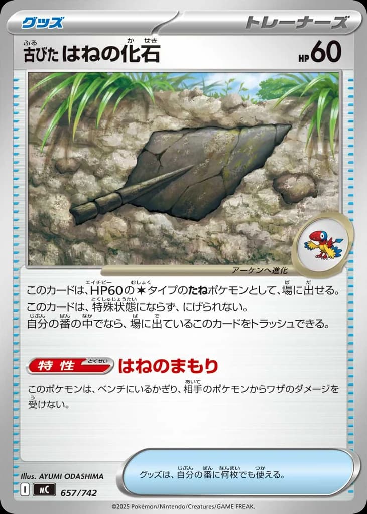 古びたはねの化石