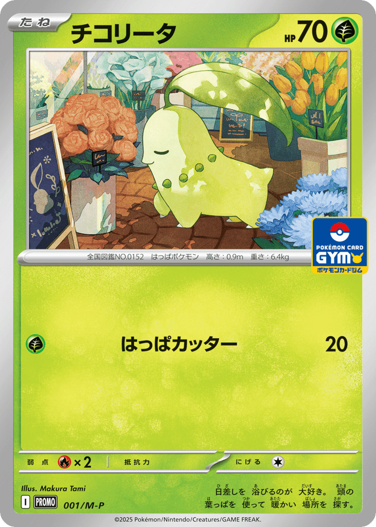 チコリータ