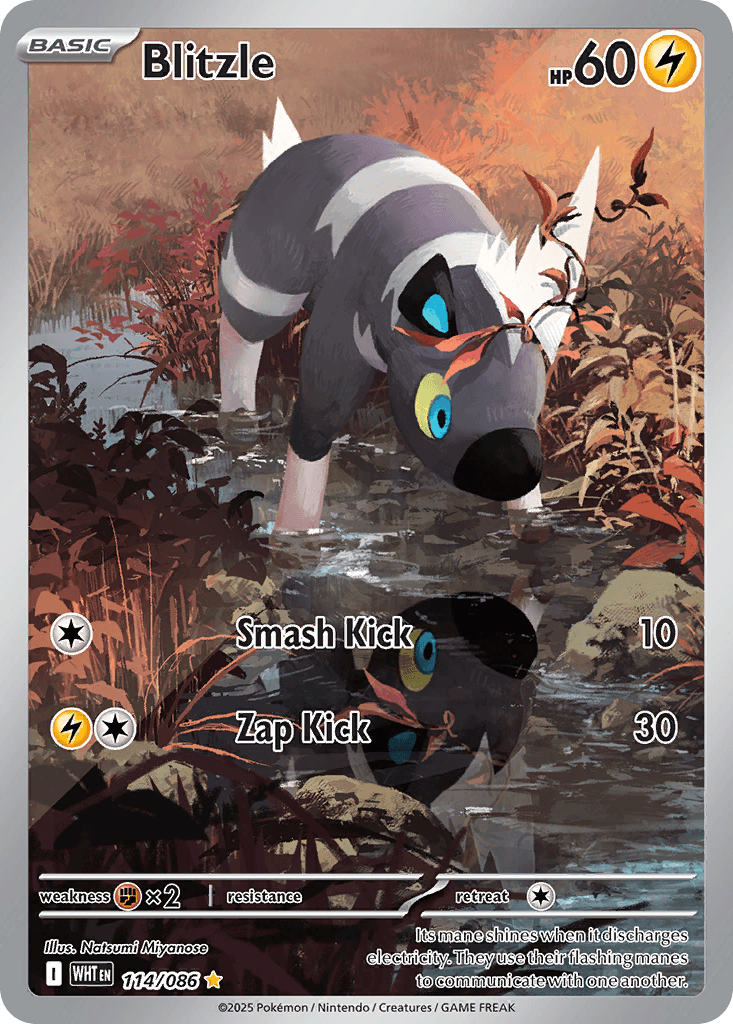 Blitzle