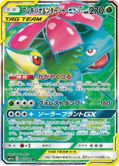 Venusaur & Snivy-GX