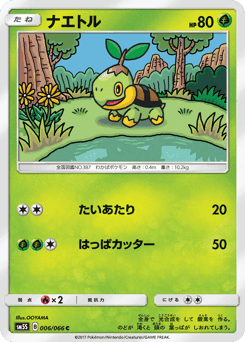 Turtwig