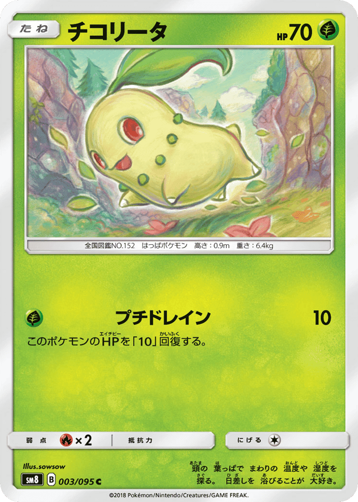 チコリータ