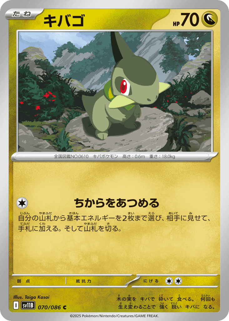 キバゴ