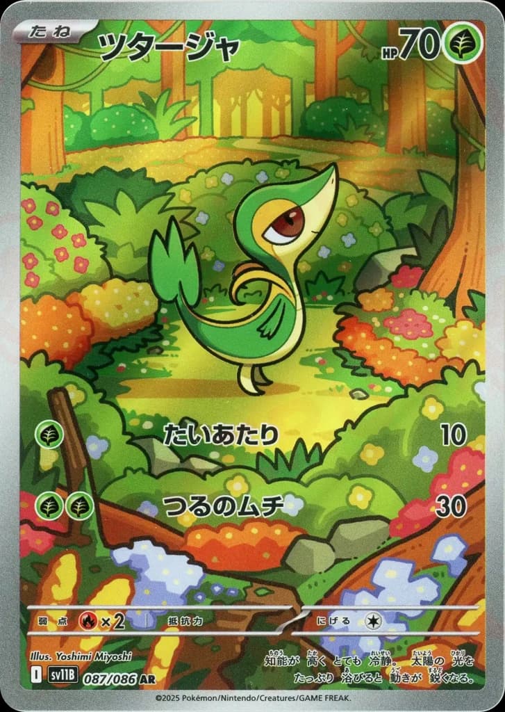 ツタージャ